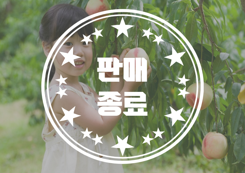 [사색사촌] 금자정, 제철 한입 (매실, 복숭아 따기) 이미지
